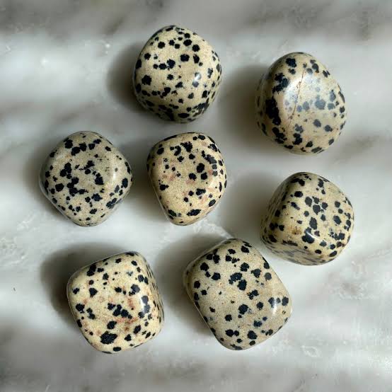 Hiottu dalmatian jasper -kivi