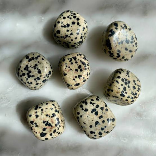 Hiottu dalmatian jasper -kivi