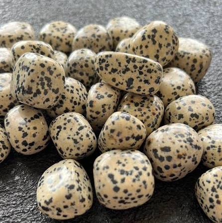Hiottu dalmatian jasper -kivi